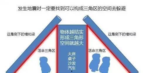 地震专家爆料新闻内容概括,揭秘地震预测的真相与挑战  第1张